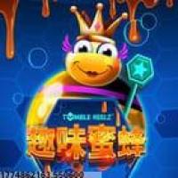 持续创新与发展